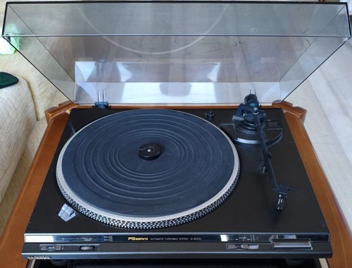 Technics bd22d servo - sl-bd22d, fg